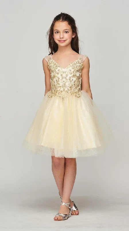 Short Sleeveless Tulle  Flower Girl Dress A-line Tulle Dress